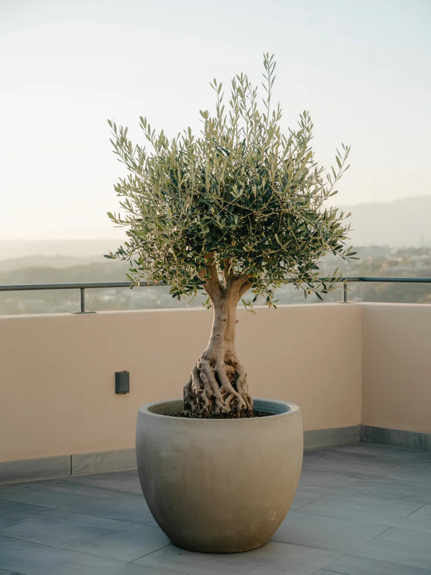 Rooftop Garden Idea 17