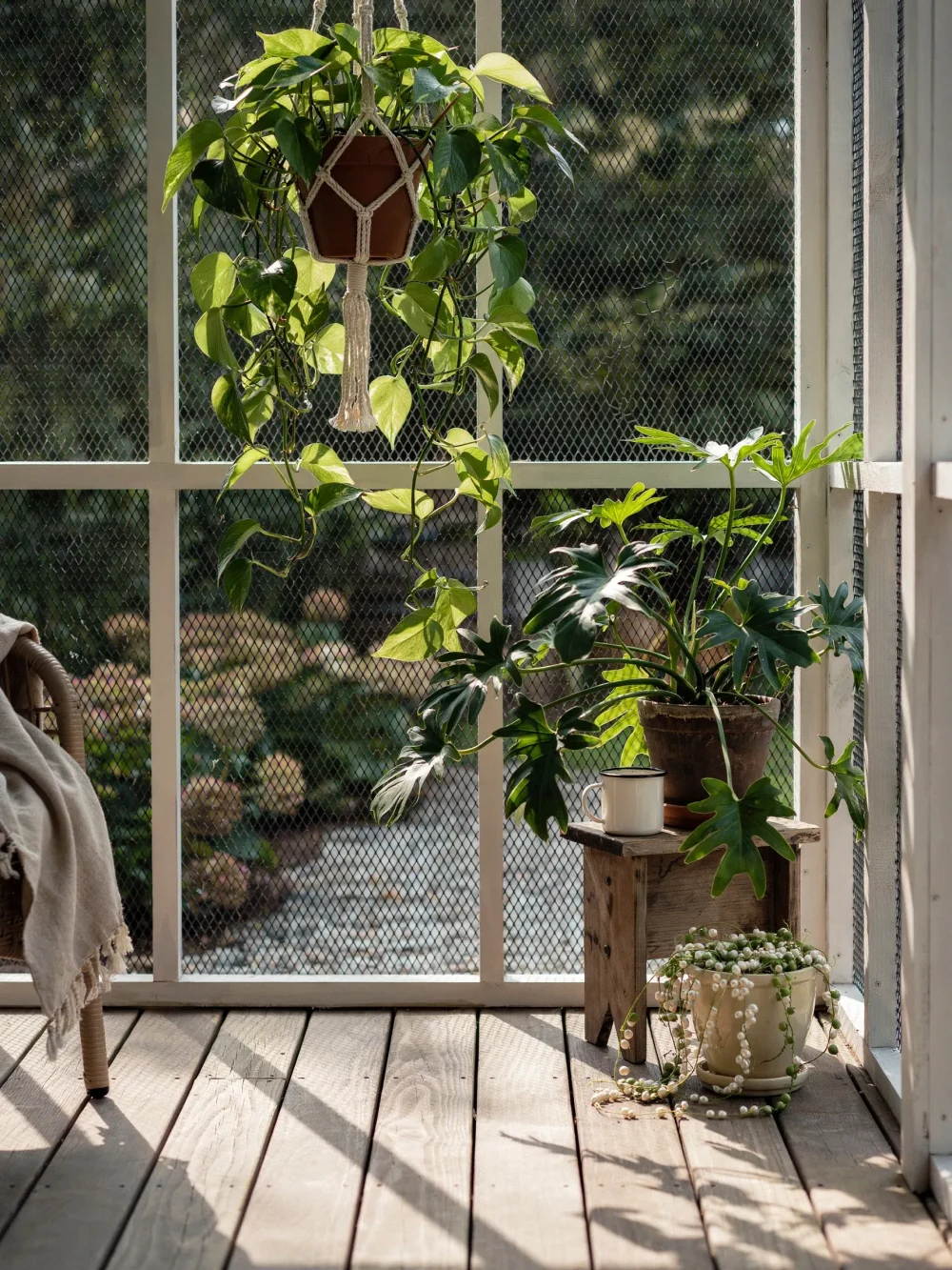 Introduce Potted Trailing Plants at Different Heights
